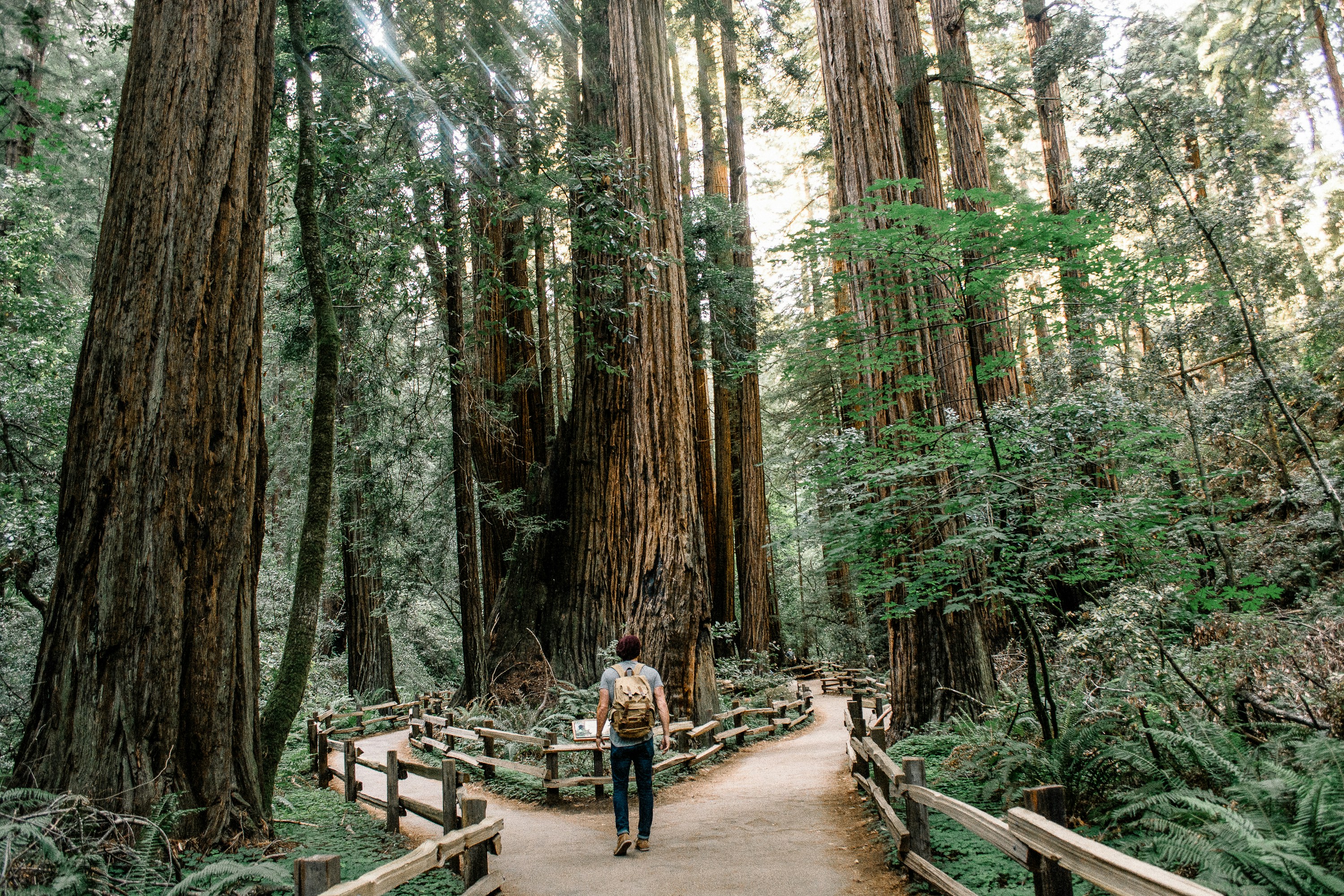 The Importance of Strategic Planning for Outdoor Sector Businesses