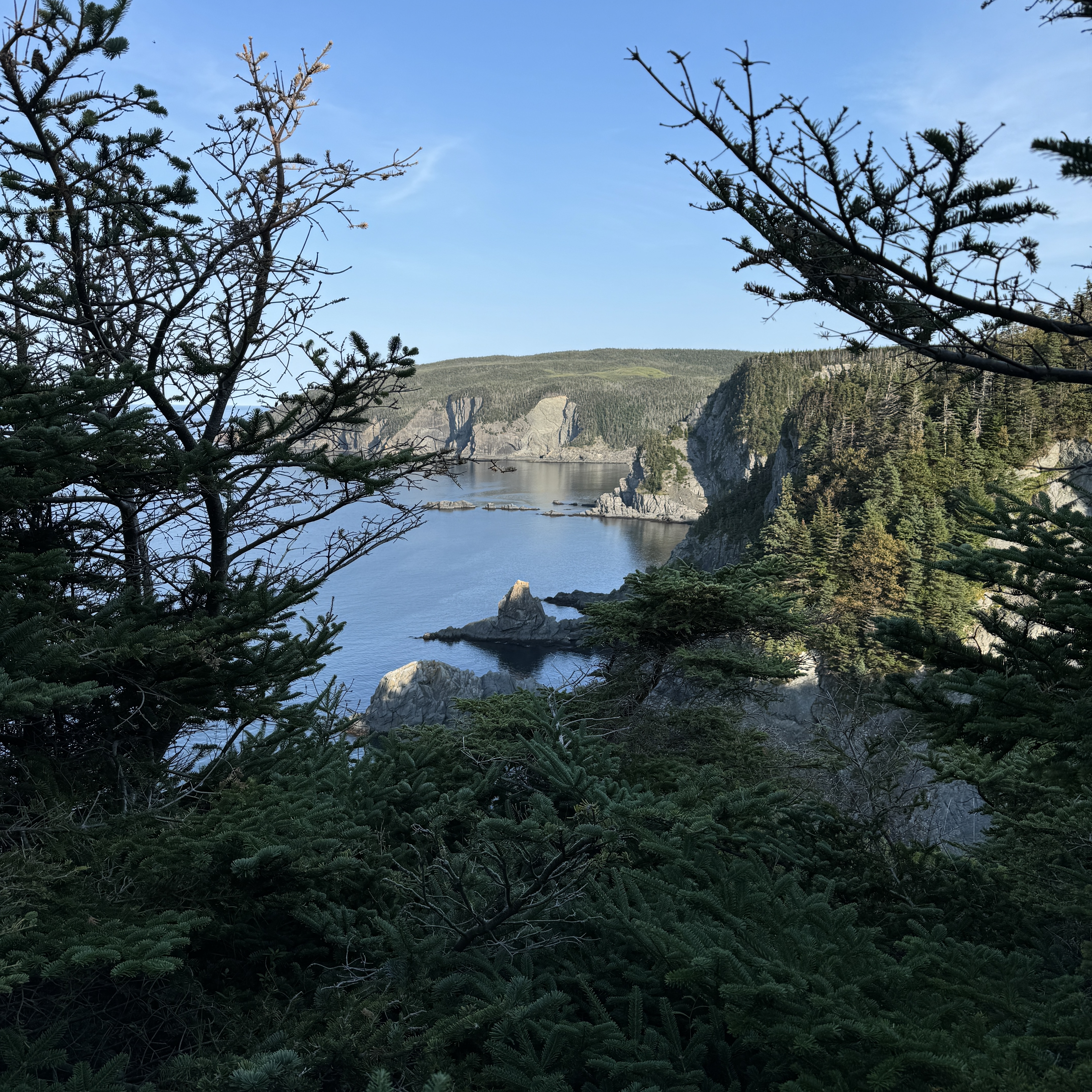 The East Coast Trail: A Jewel of Newfoundland